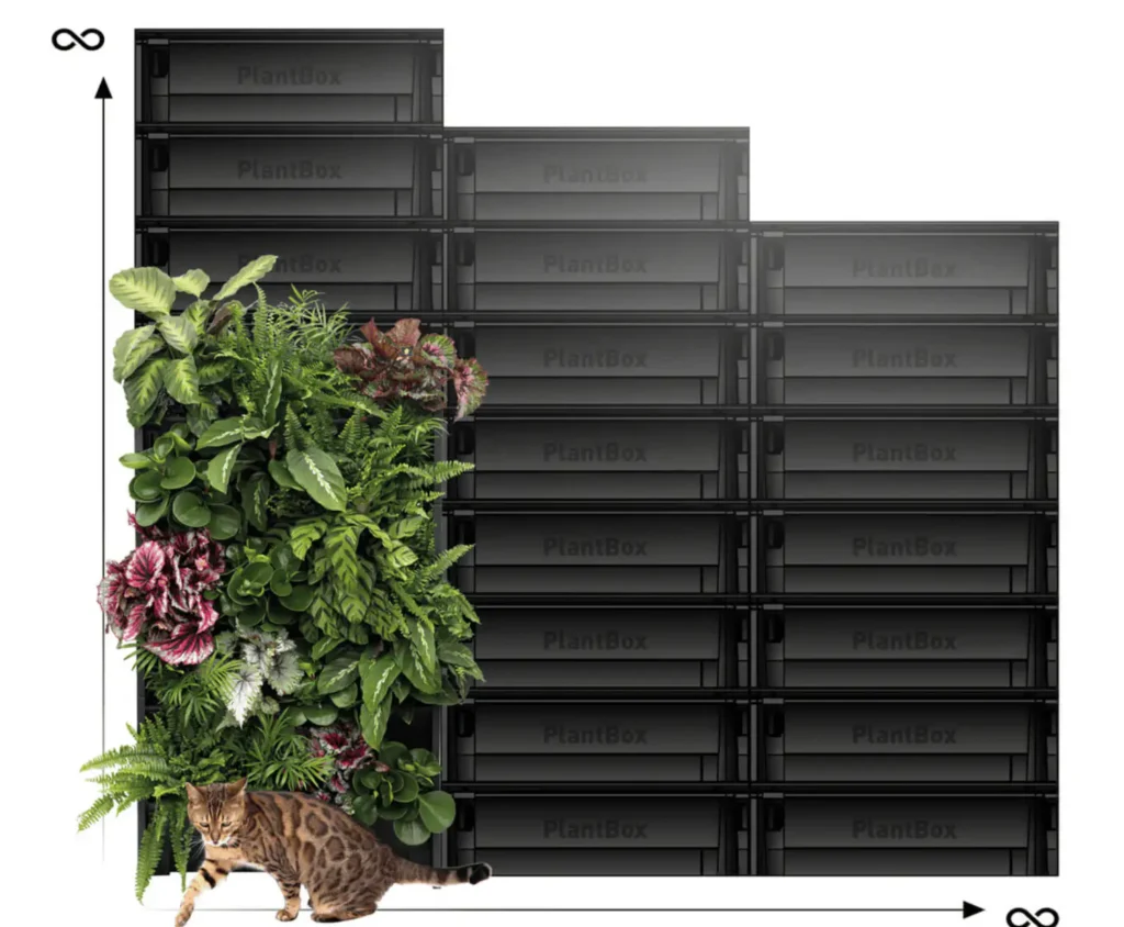 plantbox - dalsi